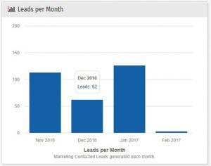 Leads per month