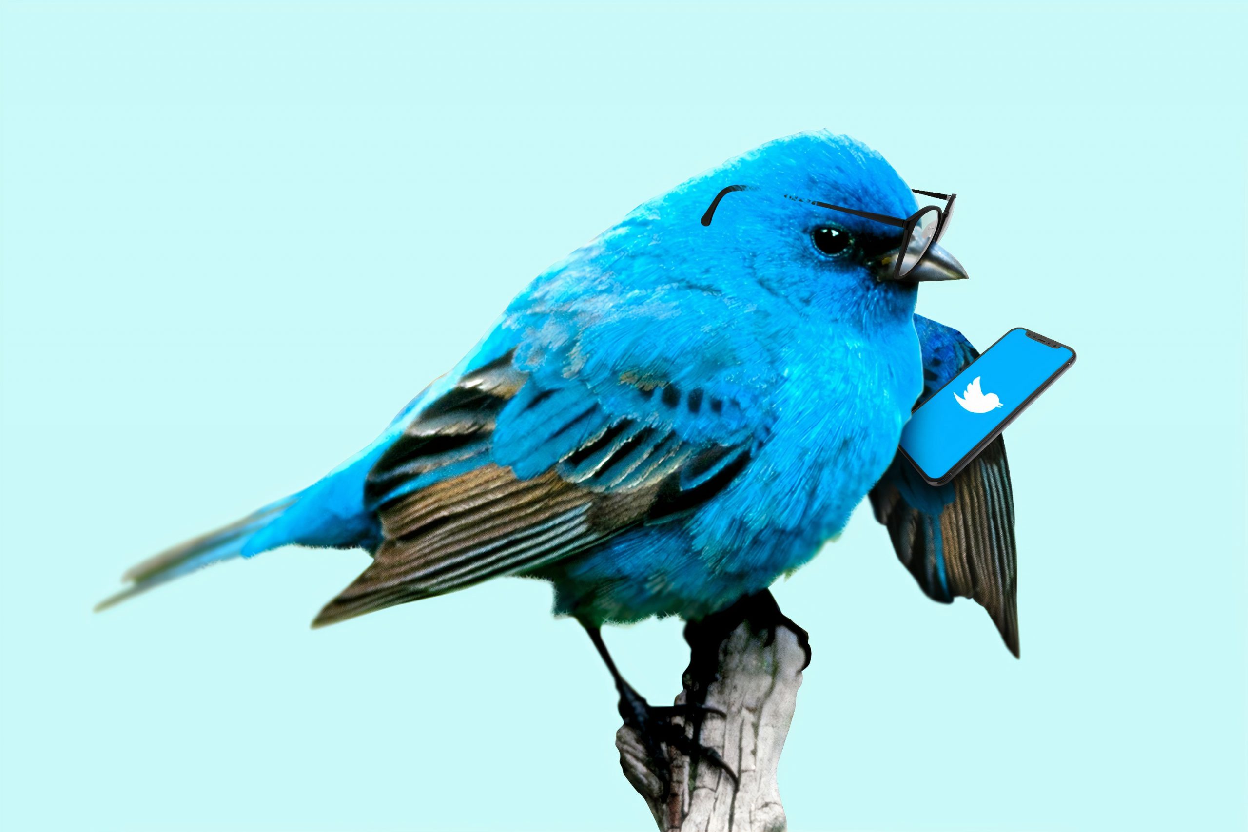 Snapshot: The challenges and opportunities of Twitter for businesses