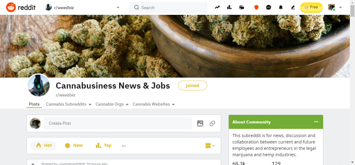 Reddit Weedbiz ideas for dispensary SEO