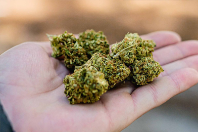 DailyStory for Dispensary and CBD Email Marketing