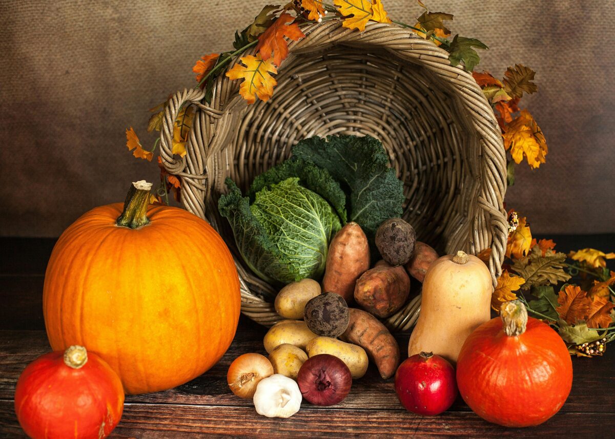 Thanksgiving emails: Ideas to engage your audience this holiday season
